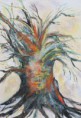 /album/baume/baum-10-von-17-jpg/